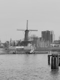 117522_PaysBasRotterdamPortBateau_Fz200_NB_2D.jpg