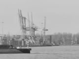 117525_PaysBasRotterdamPortBateau_Fz200_NB_2D.jpg