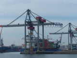 117686_PaysBasRotterdamPortBateau_Fz200_2D.jpg