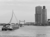 117706_PaysBasRotterdamPortBateau_Fz200_NB_2D.jpg
