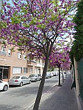 124693_Espagne-PinedaDeMarEtGironaRegion_1024px_PanasonicFz300.jpg