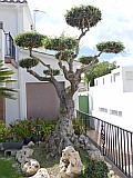 124698_Espagne-PinedaDeMarEtGironaRegion_1024px_PanasonicFz300.jpg