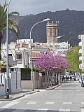 124701_Espagne-PinedaDeMarEtGironaRegion_1024px_PanasonicFz300.jpg