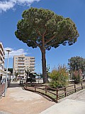 124702_Espagne-PinedaDeMarEtGironaRegion_1024px_PanasonicFz300.jpg