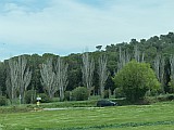 124879_Espagne-PinedaDeMarEtGironaRegion_1024px_PanasonicFz300.jpg