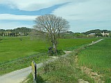 124880_Espagne-PinedaDeMarEtGironaRegion_1024px_PanasonicFz300.jpg