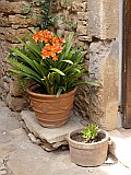 124890_Espagne-PinedaDeMarEtGironaRegion_1024px_PanasonicFz300.jpg