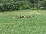 124916_Espagne-PinedaDeMarEtGironaRegion_1024px_PanasonicFz300.jpg