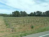 124917_Espagne-PinedaDeMarEtGironaRegion_1024px_PanasonicFz300.jpg