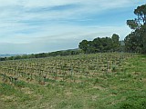 124920_Espagne-PinedaDeMarEtGironaRegion_1024px_PanasonicFz300.jpg