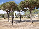 124948_Espagne-PinedaDeMarEtGironaRegion_1024px_PanasonicFz300.jpg