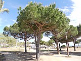 124951_Espagne-PinedaDeMarEtGironaRegion_1024px_PanasonicFz300.jpg