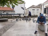 126275_CroatieDubrovnikPigeons_Fz300.jpg