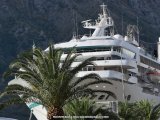 126678_MontenegroKotorPalmierBateau_Fz300.jpg