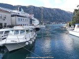 126679_MontenegroRivesBaieKotor_Fz300.jpg