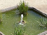 129568_D-WeilburgSchlossgarten_Fz300_1024px.jpg
