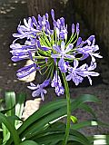 129591_D-WeilburgSchlossgarten_Fz300_1024px.jpg