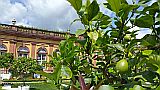 129737_D-WeilburgSchlossgarten_Note4_1024px_tx.jpg