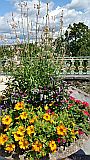 129746_D-WeilburgSchlossgarten_Note4_1024px_tx.jpg